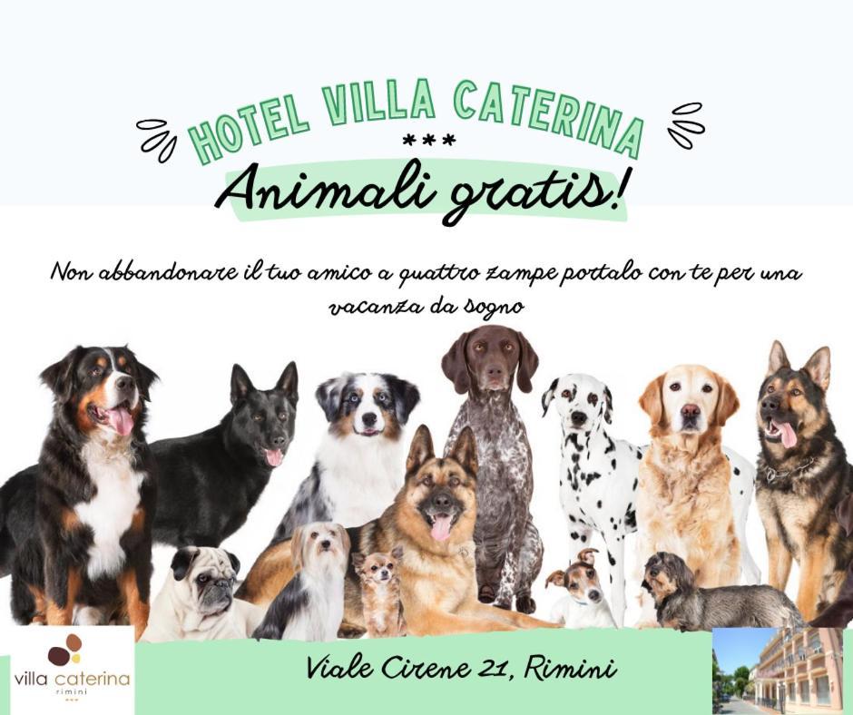 Hotel Villa Caterina リミニ エクステリア 写真